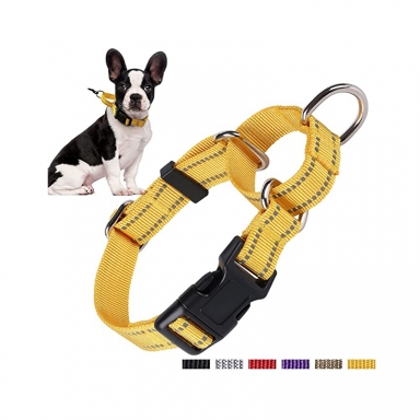 martingale dog collar