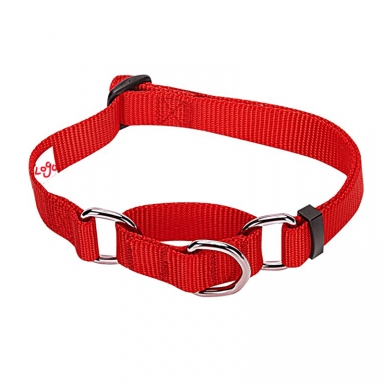 martingale dog collar