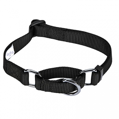 martingale dog collar