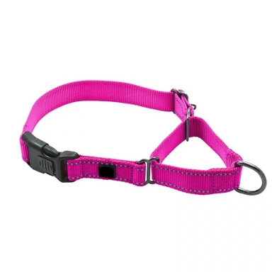 martingale dog collar