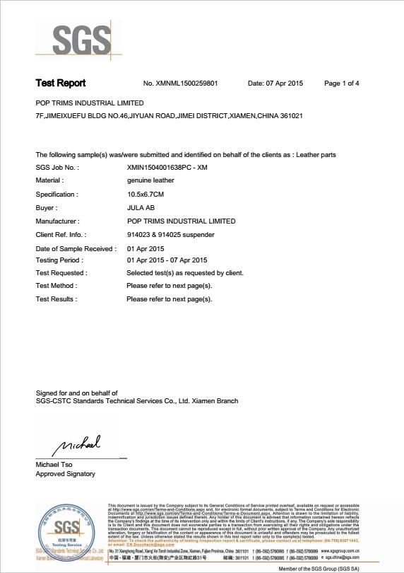 Informe de SGS 1